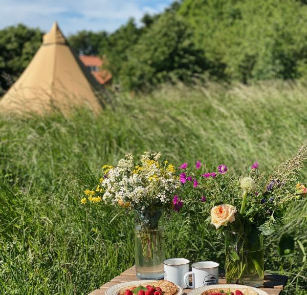 Camping in the Aarhus Region, Denmark