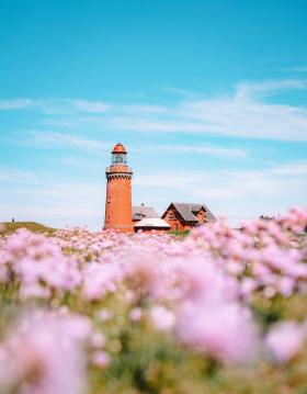 A lighthouse in a summer landscape full of flowers, bovbjergfyr, Denmark